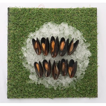 Black Mussels Full Shell (cooked)
