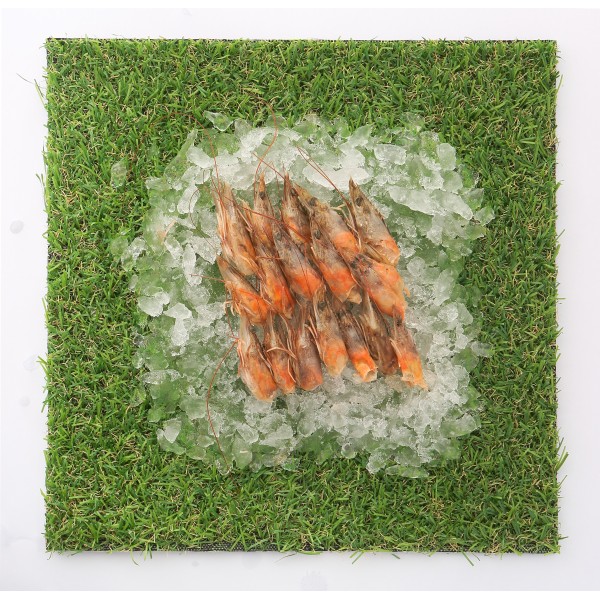 Seafood