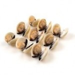 Oyster