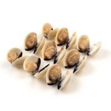 Frozen White Clams with shell