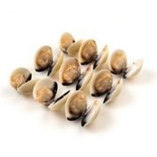 Oyster