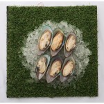Mussels