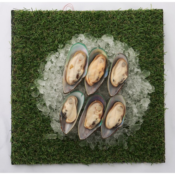 Mussels