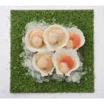 Seafood
