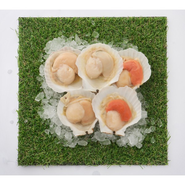 Seafood