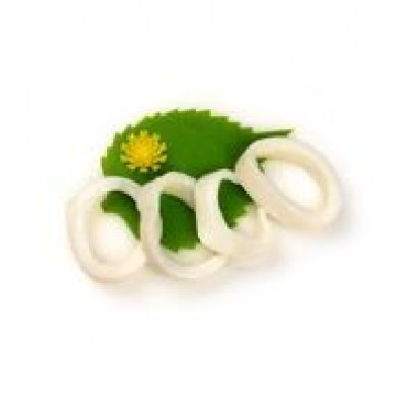 Squid Rings