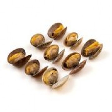 Frozen Flower Clams with shell