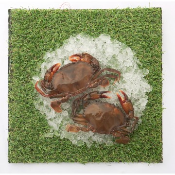 Frozen Soft-Shell Crab