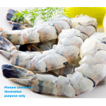 Prawns - Tiger