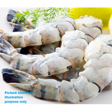 Tiger Prawn Raw Peeled and Deveined Size 16 – 20
