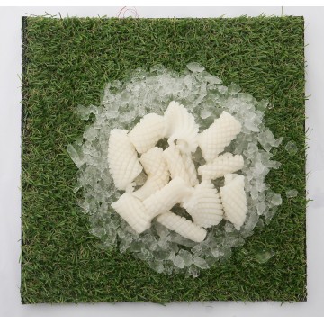 Squid Flower cut